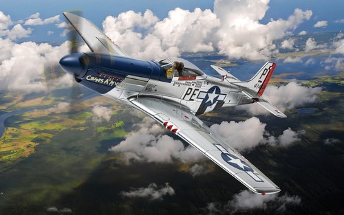 51d mustang cripes - p-51d, "cripes