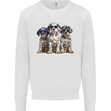 3 Cool Dalmatiner Welpen Hunde