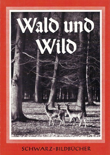 Wald und wild - und, 40