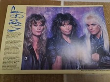 Vintage WASP CHRIS HOMES