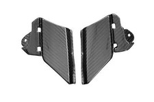 Carbon Seitenverkleidung unter