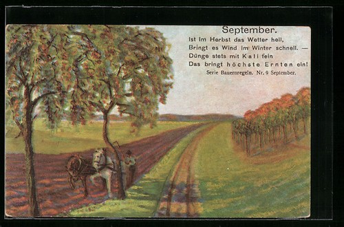 Ansichtskarte bauer mit - bauer,