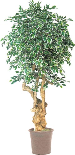 Artplants künstlicher ficus - artplants,