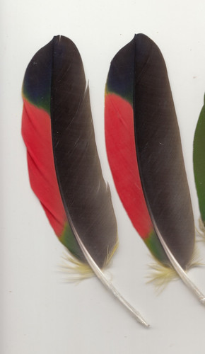 Bunte farbige - bunte,,
