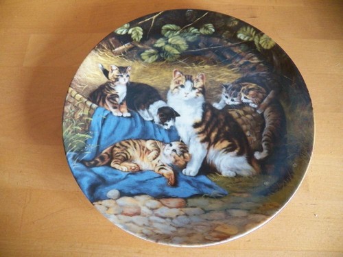 Katze sammelteller katzen - katze,