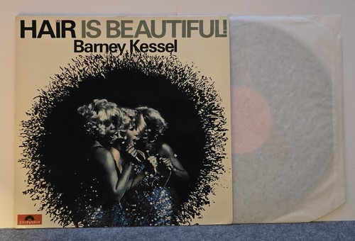 Vinyl schallplatte barney - vinyl,