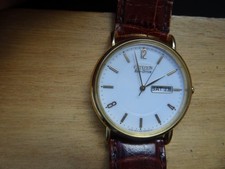 CITIZEN Eco-Drive Armbanduhr