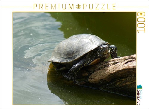 Calvendo puzzle europäische - puzzle,