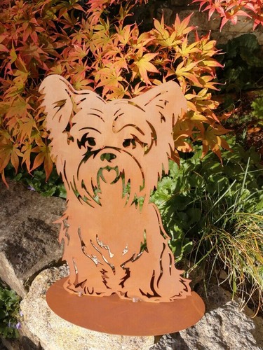 Edelrost hund bello - hund,