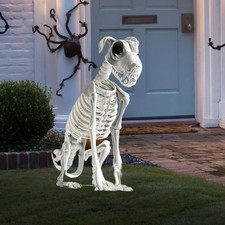 Halloween Skelett Hund