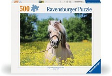 500 Teile Ravensburger Puzzle