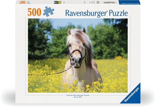 500 teile ravensburger puzzle - ravensburger,