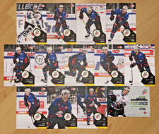 13 x Playercards DEL Saison