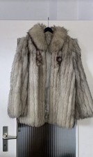 Echte Silberfuchs- /