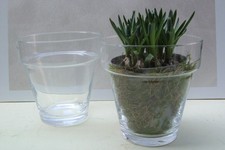 Glasvase / Windlicht konisch