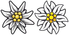 2x Edelweiss Aufkleber 8x8cm