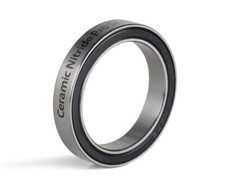 30407 Ceramic Bearing -