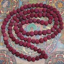 Mala Rudraksha Shiva