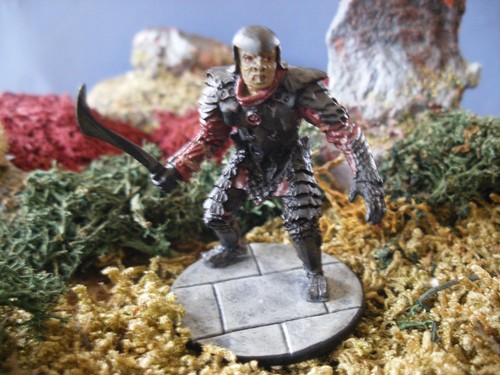 Herr der ringe agostini - herr,