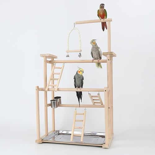 Vogelspielzeug wellensittich - vogelspielzeug,