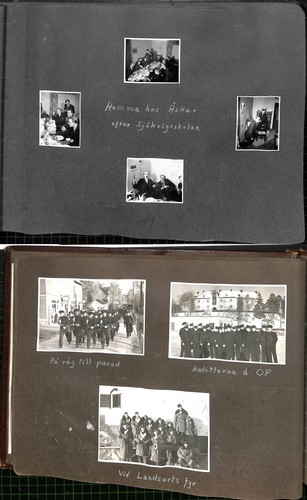 Schwedische - (n2303811),