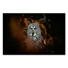 Postereck 3916 Poster Leinwand