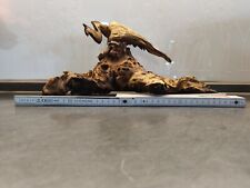 Mangrovenwurzel aquarium , Terrarium.