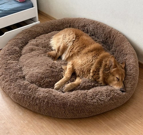 Hundebett haustierbett - hundebett,