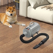 Elektrischer Hundekatzen