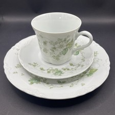 Hutschenreuther CAMARGUE Kaffee-/Teeservice Grüne Ranke Blumen