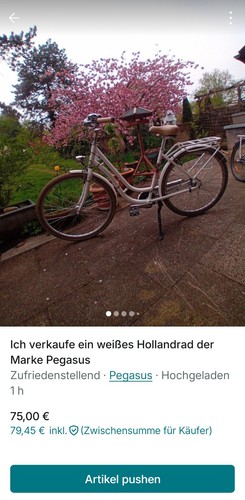 Schönes pegasus fahrrad - schönes, pegasus-fahrrad