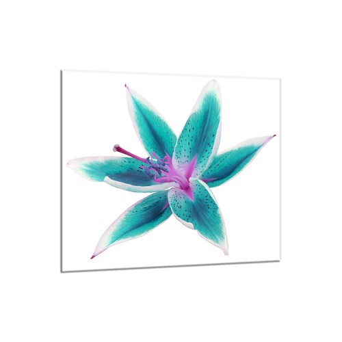 Küchenrückwand glas 65x60 - glas,
