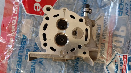 L9201007 piaggio zylinderkopf - l9201007,