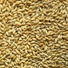 1kg  2,5kg oder 5kg Pilsener