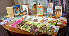 Schneider bücher pferde - schneider,