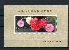 China Block 21 Kamelien