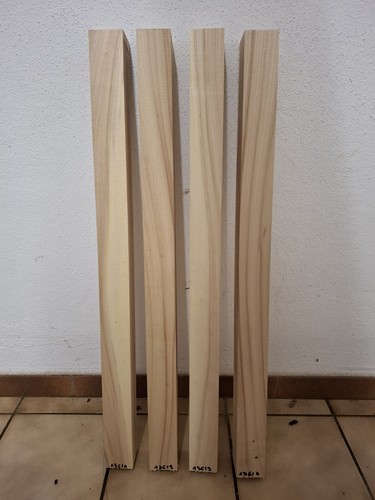 Ulme rüster leiste - 4x,
