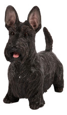 Schlafender Westie Garten Ornament Wohndeko Harz Statue in Out West Highland Hund