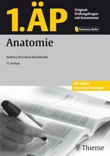 äp anatomie von - 1.,