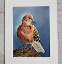 Original Pastellstifte weich