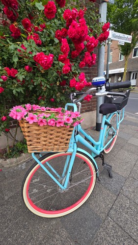 Gazelle fahrrad blau - fahrrad, damen