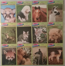 Micky Maus Sammelkarten -