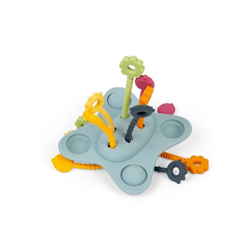 Bigjigs toys pull push and - toys, pull,