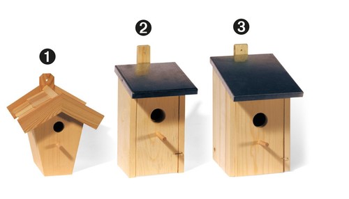 Vogelhaus vogelhäuschen - vogelhaus,,
