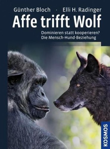 Affe trifft wolf dominieren - affe,