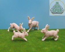 In der Spur 2 / G Feldhasen