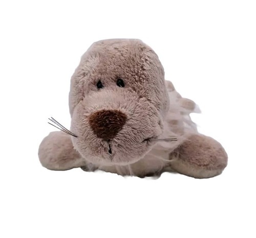 Nici robbe seehund seerobbe - nici,