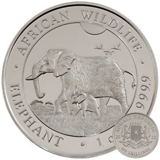 Somalia elefant 2022 - elefant,