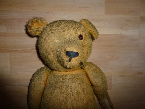 Alter teddy bär aus - ❌,