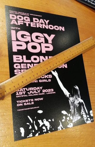 Iggy pop size wall - ,